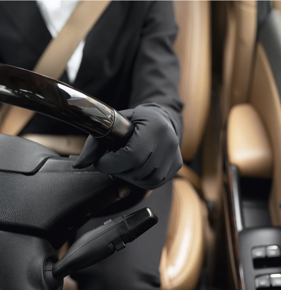 Private Tours Chauffeur Service